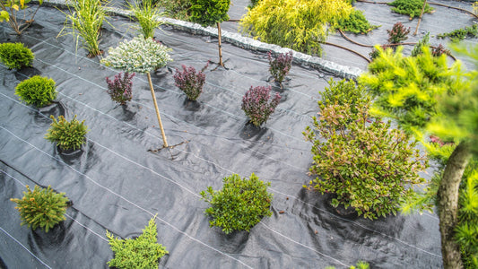 Image of lush garden with Layfair Membrane installed, showcasing weed-free environment and healthy plant growth