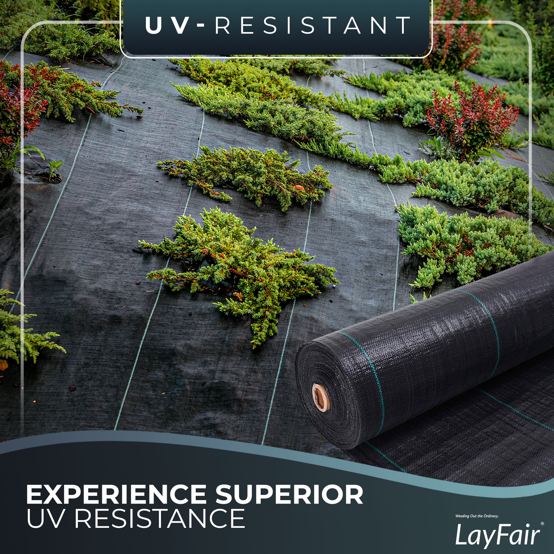 1M x 100M LAYFAIR® HEAVY DUTY WEED CONTROL FABRIC GROUND COVER MEMBRANE FAST P&P