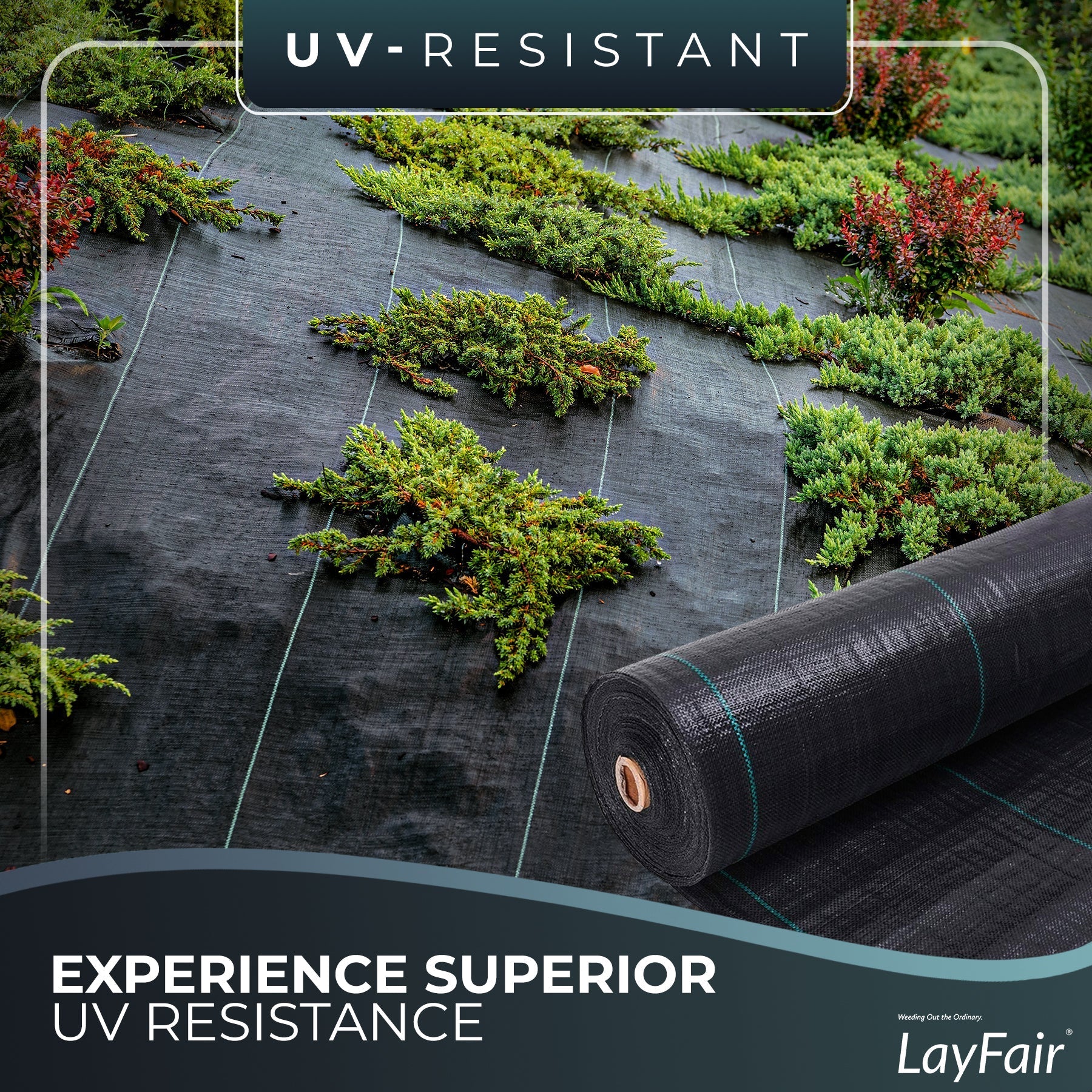 2M x 25M LAYFAIR® HEAVY DUTY WEED CONTROL FABRIC GROUND COVER MEMBRANE FAST P&P