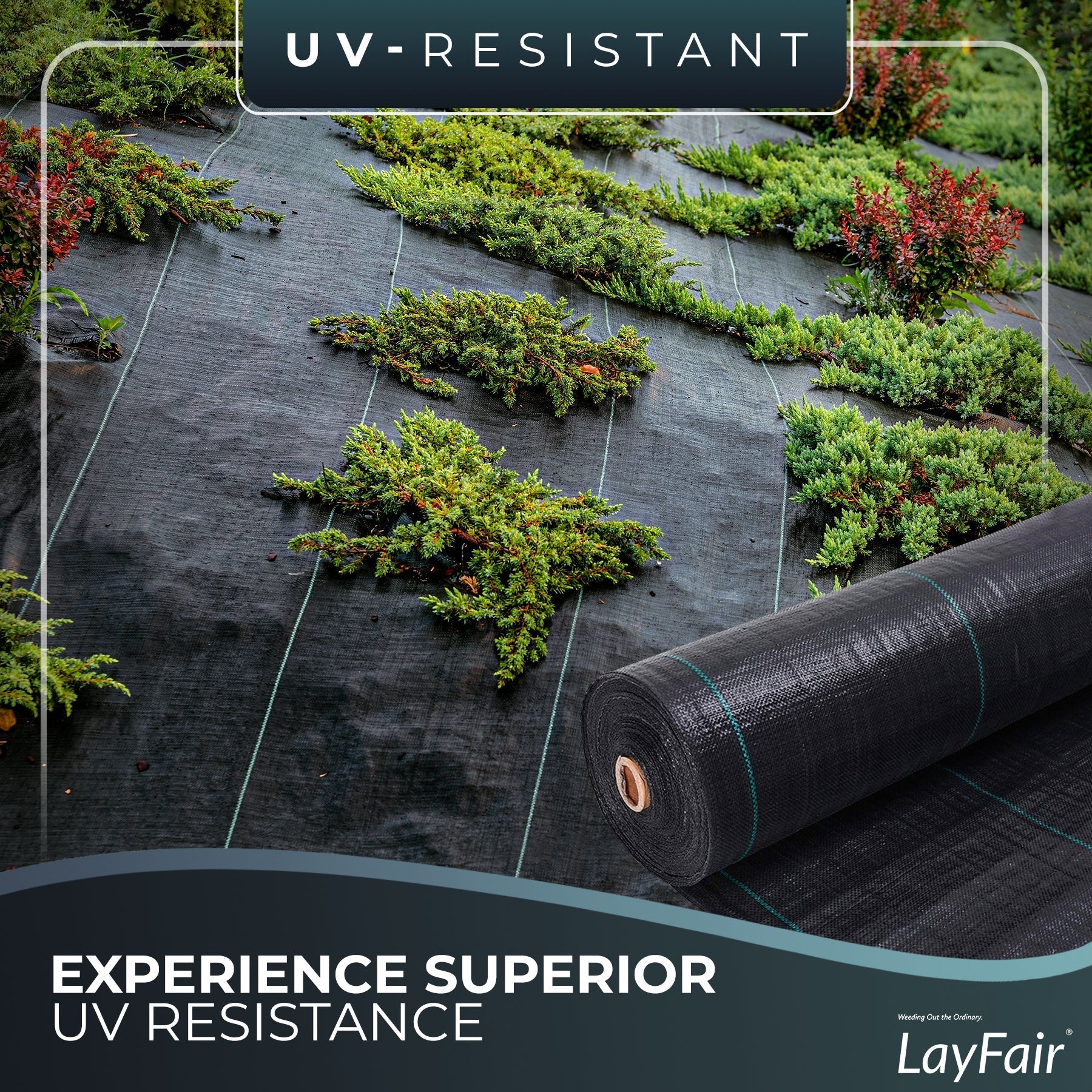 2M x 10M LAYFAIR® HEAVY DUTY WEED CONTROL FABRIC GROUND COVER MEMBRANE FAST P&P